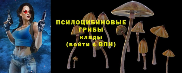 apvp Алексин