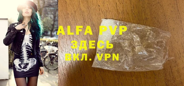 шишки Арсеньев