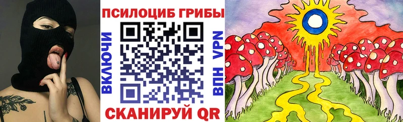 Псилоцибиновые грибы мицелий маркетплейс состав ссылка на мегу как войти Артёмовский цены